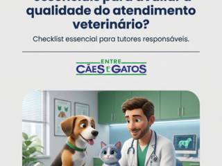Quais são os critérios essenciais para avaliar a qualidade do atendimento veterinário?