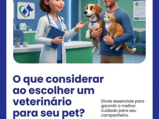O que considerar ao escolher um veterinário para seu pet?