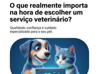 O que realmente importa na hora de escolher um serviço veterinário?
