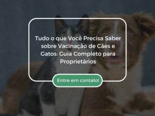 Tudo o que Você Precisa Saber sobre Vacinação de Cães e Gatos: Guia Completo para Proprietários