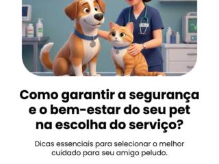 Como garantir a segurança e o bem-estar do seu pet na escolha do serviço?