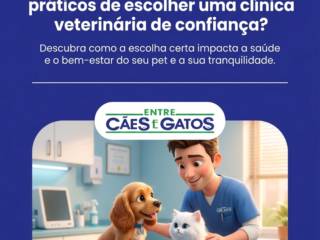 Quais são os benefícios práticos de escolher uma clínica veterinária de confiança?
