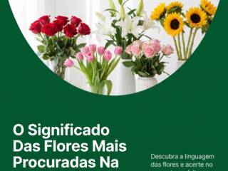 O Significado Das Flores Mais Procuradas Na Floricultura Raghi