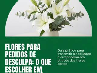 Flores Para Pedidos De Desculpa: O Que Escolher Em Cada Situação