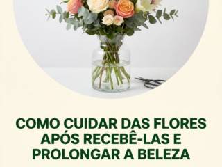 Como Cuidar Das Flores Após Recebê-las E Prolongar A Beleza