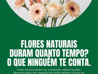 Flores Naturais Duram Quanto Tempo? O Que Ninguém Te Conta