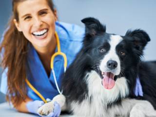 A importância da prevenção para a saúde dos pets em Itatinga