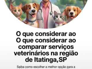 O que considerar ao comparar serviços veterinários na região de Itatinga, SP