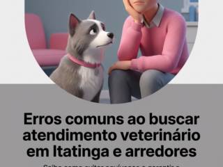 Erros comuns ao buscar atendimento veterinário em Itatinga e arredores