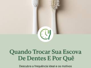 Quando Trocar Sua Escova De Dentes E Por Quê