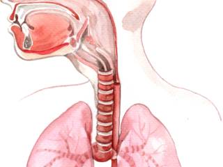 Fisioterapia Respiratória em Jaú: cuidado para respirar melhor