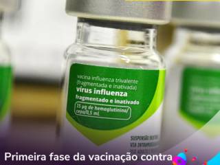 Primeira fase da vacinação contra a gripe segue até 10 de maio