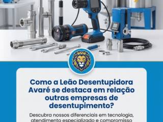 Como a Leão Desentupidora Avaré se destaca em relação a outras empresas de desentupimento?