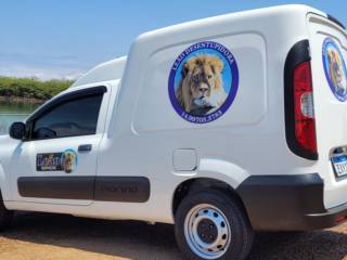 Conheça um pouco mais do nosso trabalho! Galeria de Vídeos