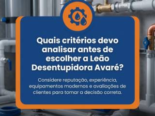 Quais critérios devo analisar antes de escolher a Leão Desentupidora Avaré?