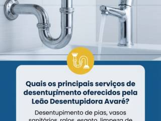 Quais os principais serviços de desentupimento oferecidos pela Leão Desentupidora Avaré?