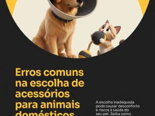 Erros comuns na escolha de acessórios para animais domésticos
