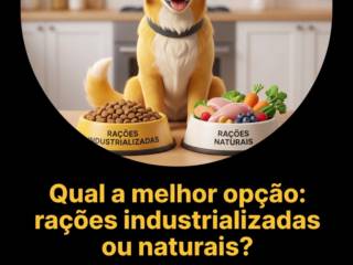 Qual a melhor opção: rações industrializadas ou naturais?