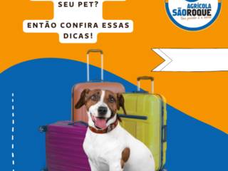 Vai viajar e levar seu pet junto? Então confira essas dicas!