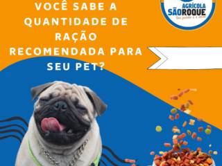 Você sabe qual a quantidade ideal de ração para dar para o seu pet?