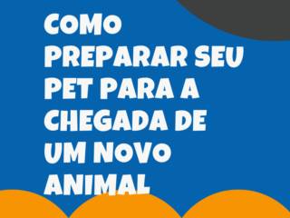 Como Preparar Seu Pet para a Chegada de um Novo Animal: Dicas de Cuidados e Alimentação em Itapetininga
