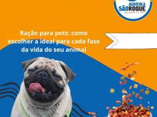 Ração para pets: como escolher a ideal para cada fase da vida do seu animal