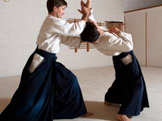 Treino de Aikido: A Arte Marcial da Harmonia, Respeito e Autocontrole para Todas as Idades