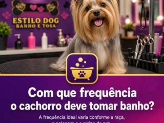 Com que frequência o cachorro deve tomar banho?