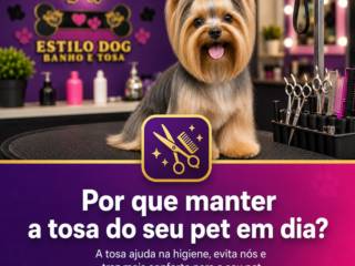 Por que manter a tosa do seu pet em dia?
