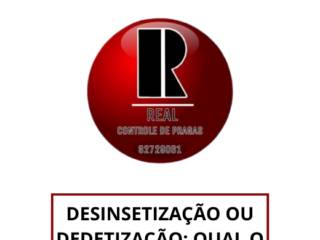 Desinsetização ou Dedetização: Qual o termo correto?