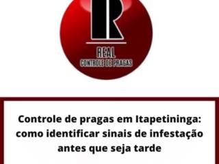 Controle de pragas em Itapetininga: como identificar sinais de infestação antes que seja tarde