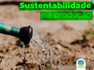 Sustentabilidade na produção