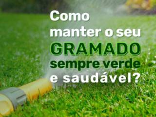 Como manter o gramado sempre verde e saudável?