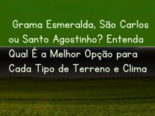 Grama Esmeralda, São Carlos ou Santo Agostinho? Entenda Qual É a Melhor Opção para Cada Tipo de Terreno e Clima