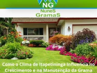 Como o Clima de Itapetininga Influencia no Crescimento e na Manutenção da Grama