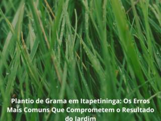 Plantio de Grama em Itapetininga: Os Erros Mais Comuns Que Comprometem o Resultado do Jardim