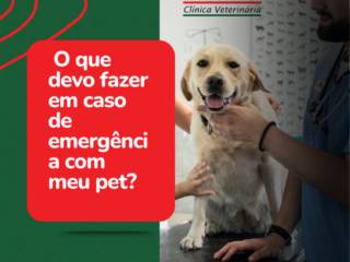 O que devo fazer em caso de emergência com meu pet?