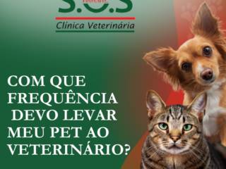 Com que frequência devo levar meu pet ao veterinário?