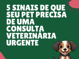 5 sinais de que seu pet precisa de uma consulta veterinária urgente