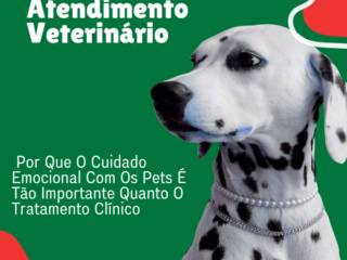 Atendimento Veterinário Em Itapetininga: Por Que O Cuidado Emocional Com Os Pets É Tão Importante Quanto O Tratamento Clínico