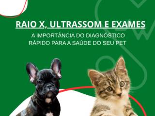Raio X, Ultrassom e Exames em Itapetininga: A Importância do Diagnóstico Rápido para a Saúde do Seu Pet