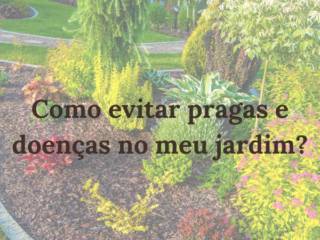 Como evitar pragas e doenças no meu jardim?
