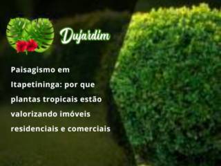Paisagismo em Itapetininga: por que plantas tropicais estão valorizando imóveis residenciais e comerciais