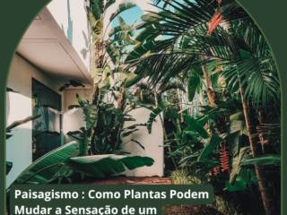 Paisagismo em Itapetininga: Como Plantas Podem Mudar a Sensação de um Ambiente Sem Grandes Reformas