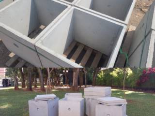 Galeria de Vídeos 