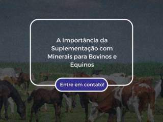 A Importância da Suplementação com Minerais para Bovinos e Equinos