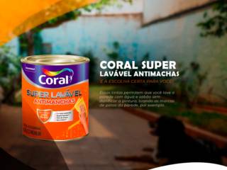 A TINTA IDEAL PARA VOCÊ!