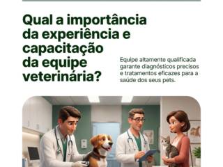 Qual a importância da experiência e capacitação da equipe veterinária?