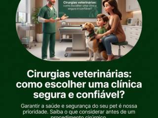 Cirurgias veterinárias: como escolher uma clínica segura e confiável?