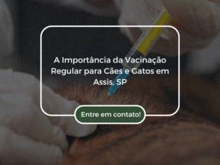 A Importância da Vacinação Regular para Cães e Gatos em Assis, SP